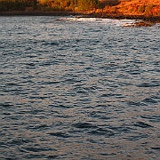 Picture 064